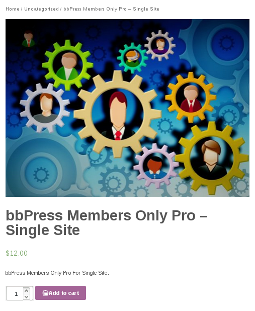 Purchase bbPress Membership Plugin